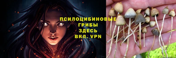 экстази Алзамай