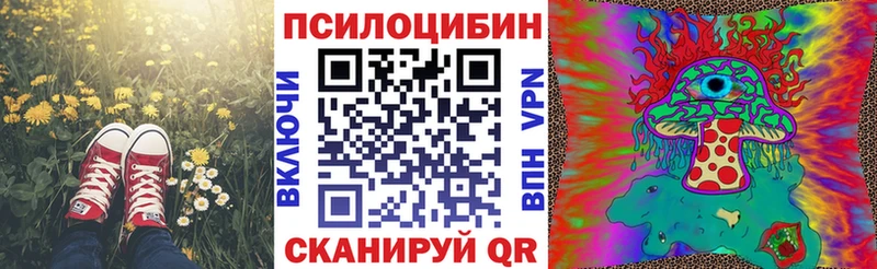 mega ссылки  Дзержинск  Галлюциногенные грибы GOLDEN TEACHER 